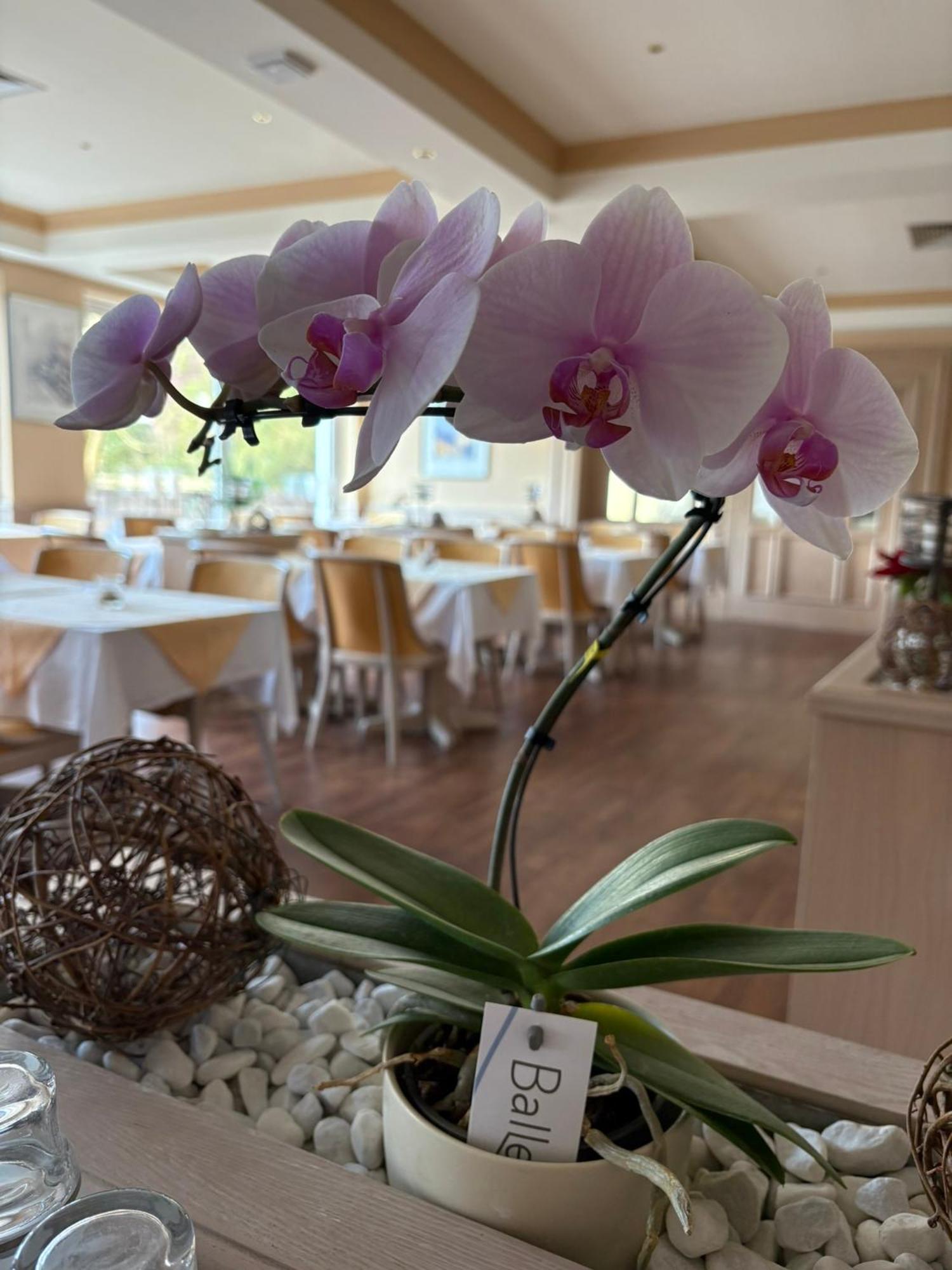 Hotel Kieferneck Bad Bevensen Bagian luar foto